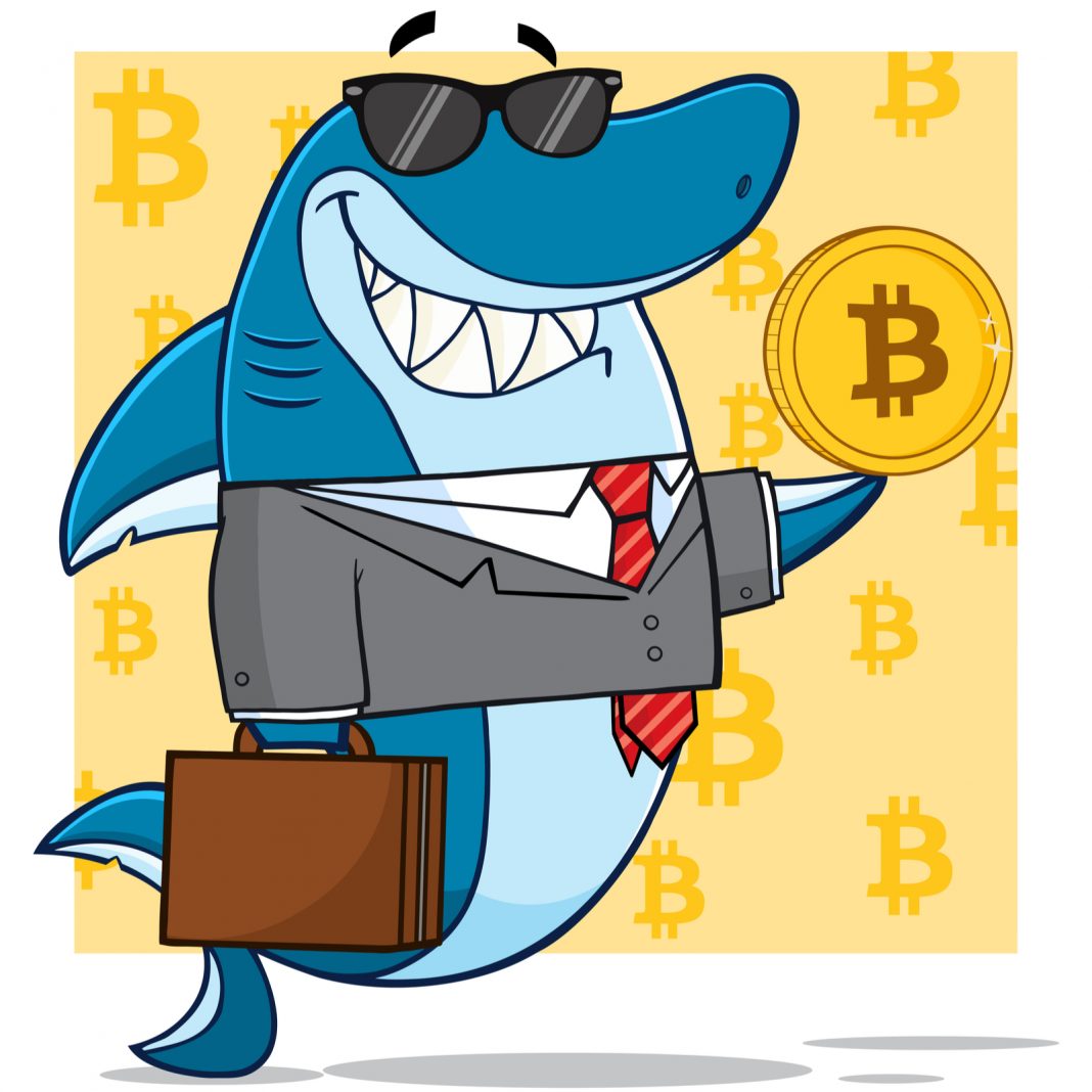 Cryptocurrency Roundup App Gets 100000 Shark Tank Investment - نهنگ ها فقط ۱۱ درصد بیت کوین های موجود در جهان را در اختیار دارند .