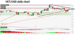 چارت ویچین 1 300x141 - تحلیل تکنیکال وی‌چین (VET/USD)؛ جمعه ۳۱ مرداد