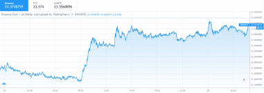 Binance Coin price chart 1 14 August 1024x365 381x - قیمت BNB به 23.3 دلار نزدیک شد، آیا این ارز از 28 دلار خواهد گذشت؟