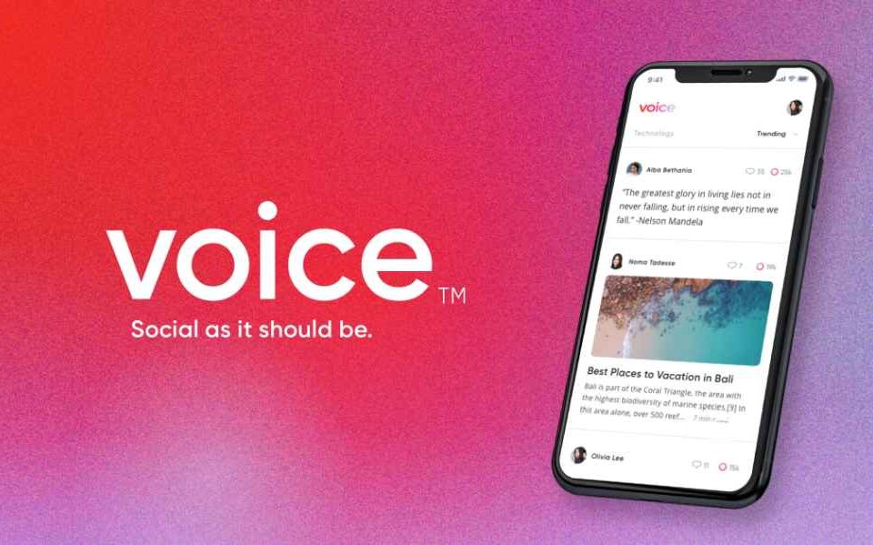 Block.one bought Voice.com for 30 million dollars 960x599 1 - اپلیکیشن بلاک چین Voice توسط کمپانی Block.one برای کاربران بتا شروع به کار کرده است!!