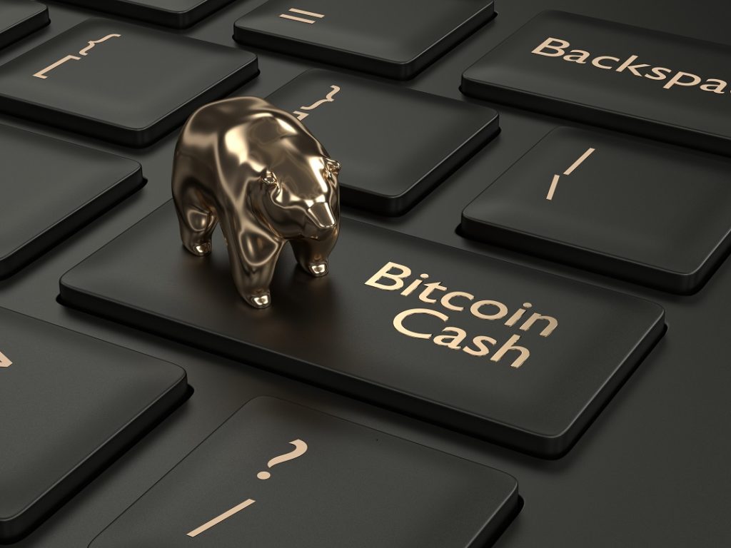 comprar bitcoin cash 1024x768 1 - قیمت BCH به سطح 304 دلار باز می گردد ،آیا بازار خرسی در پیش است؟!!