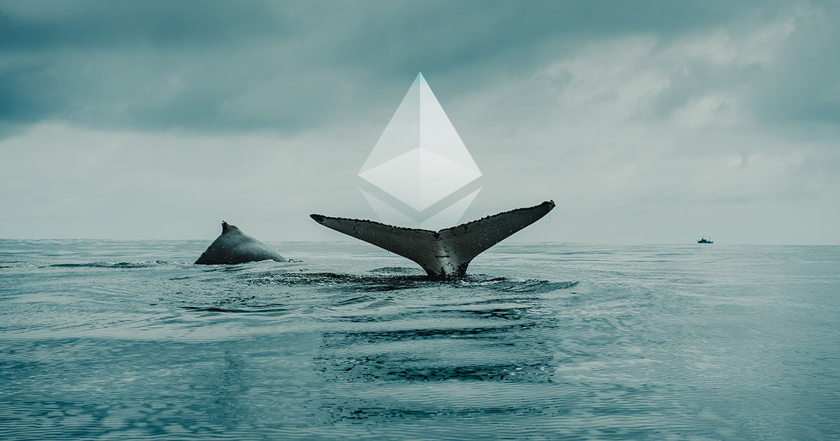 ethereum whale - یک نهنگ اتریوم با خرید 6 آلتکوین دیگر سروصدا به پا کرد