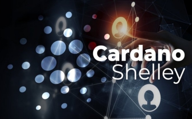 کاردانو 1 - اکنون Shelley کاردانو بیش از ۶۰۰ استخر فعال سهام دارد، تاثیر این اتفاق چیست؟