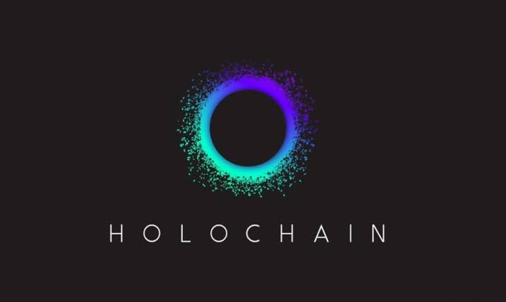 030CDE4E CE22 4216 98FA A46CA1DA298B - معرفی پلتفرم Holochain