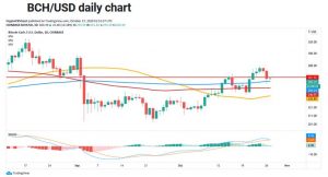 چارت بیت‌کوین‌کش 1 300x162 - تحلیل تکنیکال بیت‌کوین کش (BCH)؛ سه‌شنبه ۶ آبان