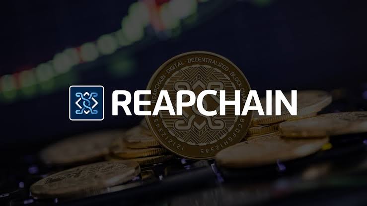 219A643C C56C 4BFA 9CC5 6E7388AE0F92 - آشنایی با ReapChain