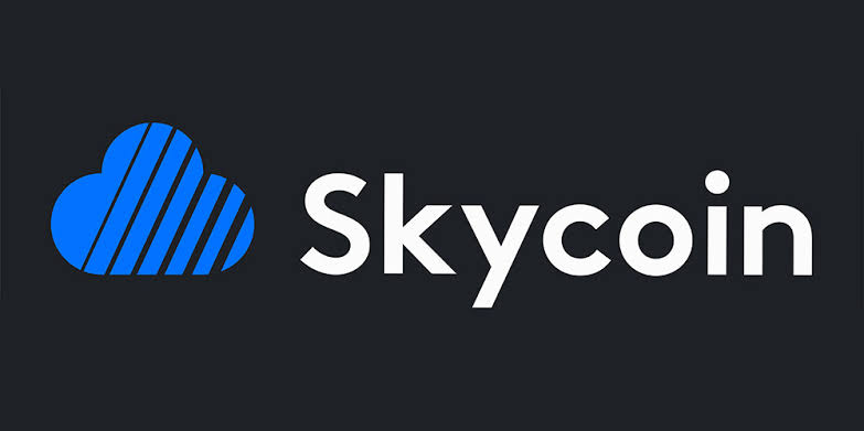 BECECC7A D31F 400A BE2C 294993FD73B2 - آشنایی با SkyCoin