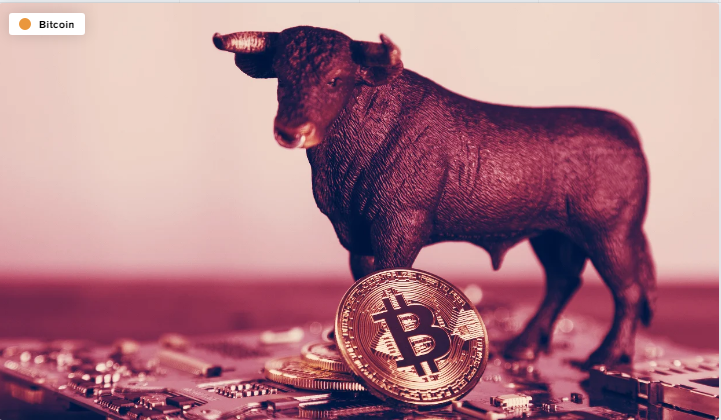 Bitcoin Is On Another Bull Run - بیت کوین بار دیگر در روند صعودی قرار دارد ، اما این بار فرق می کند!