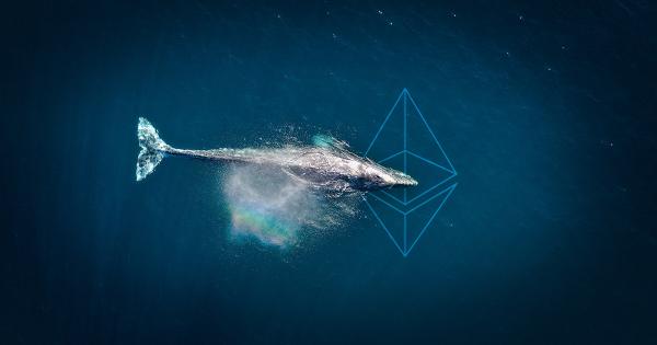 Ethereum whales - با افزایش چشمگیر ذخیره اتریوم توسط نهنگ‌ها ، احتمال افزایش قیمت در پیش است