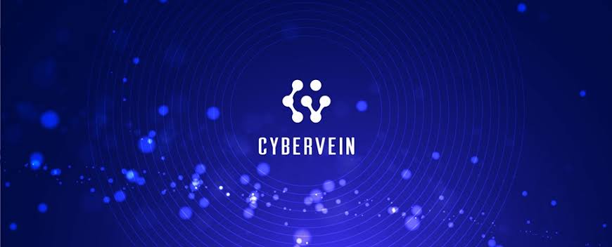 F9A89578 D07A 4C0F A942 01708EB36A0D - آشنایی با Cybervein