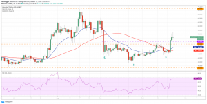 LTC USD 1 300x151 - 10 ارز دیجیتالی که در این هفته باید زیر نظر بگیرید