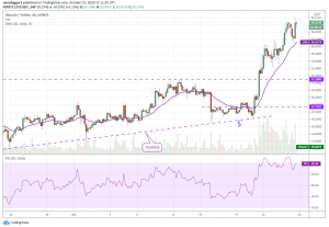 LTC USD 4 hour 300x207 - 5 ارز دیجیتالی که این هفته باید زیر نظر بگیرید