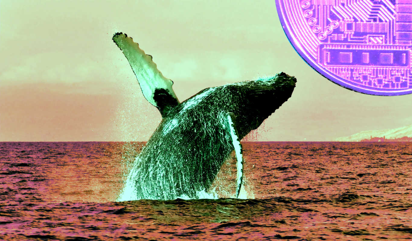 al827197e - افزایش محبوبیت 6 آلت کوین مبتنی بر اتریوم در میان نهنگ ها!