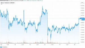 btcusd chart 300x169 - بازار در انتظار حرکت قیمت بیت کوین