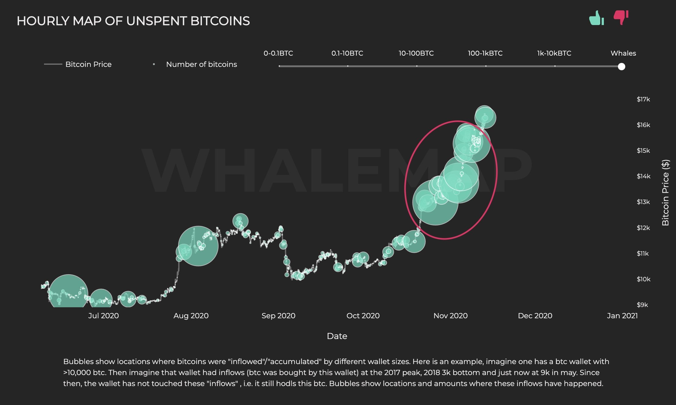 نمودار فومو - خوشه های نهنگ بیت کوین، دلیلی بر وجود فوموی سازمانی در پشت رالی اخیر