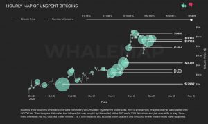Bitcoin whale 300x179 - برای ادامه روند صعودی ، قیمت بیت کوین باید بالاتر از 14،914 دلار تثبیت شود