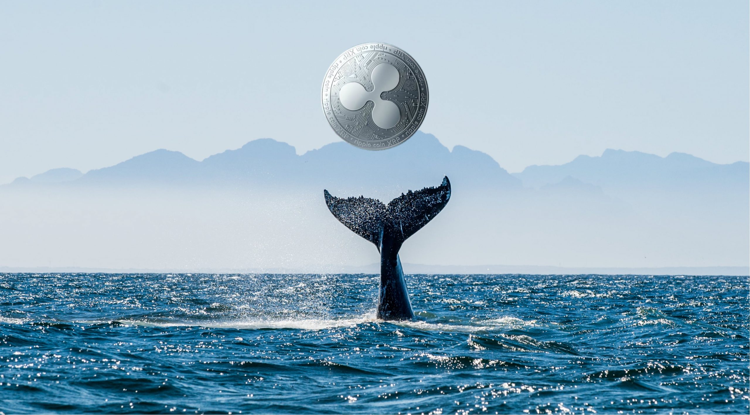نهنگ ریپل scaled - شرکت تحلیل داده سنتیمنت: نهنگ ها در حال انباشت ریپل و چین لینک هستند