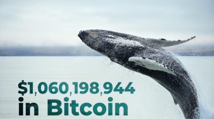 20201223 143117 - با برگشت بیت کوین به بالای سطح ۲۳,۰۰۰ دلار نهنگ‌ها شروع به جابجایی این ارز کرده‌اند