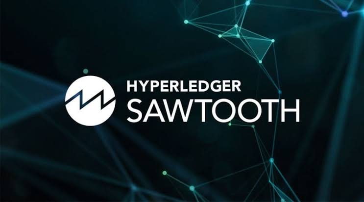 EDD800D4 810F 4C14 9C54 3EE3D8D38473 - توضیحاتی پیرامون Hyperledger Sawtooth