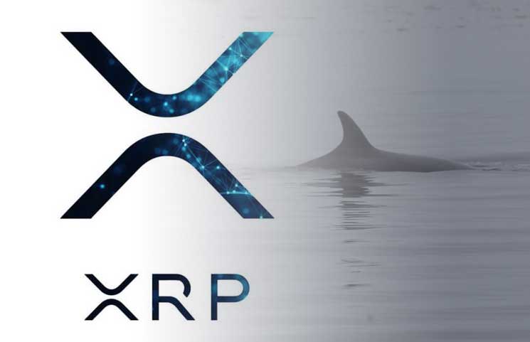 Ripple Whale Alert Sounds the Alarm with 1 Billion XPR 302 Million with a Crawl Walk Run Memo - 400 میلیون دلار ریپل(XRP) به صرافی Bithumb منتقل شد!