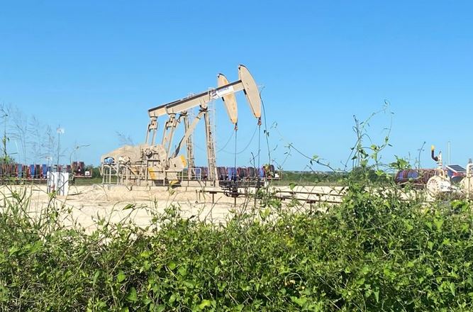 نفت اوپک کرونا - رشد قیمت نفت در پی کاهش ذخایر نفت خام آمریکا
