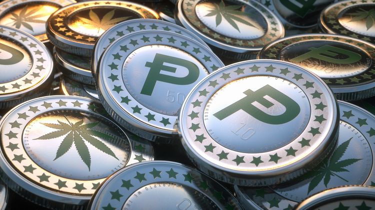 EB7418D6 1035 42C9 B76A 5D9AED8BC906 - توضیحاتی پیرامون پت کوین (PotCoin)