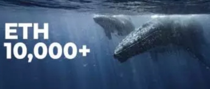اتریوم 7 - تعداد نهنگ‌هایی که بیش از ۱۰,۰۰۰ اتریوم دارند به رکورد یک ساله رسید