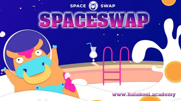 spaceswap