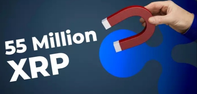 ریپل 6 - ریپل و صرافی‌های برتر ۵۵ میلیون XRP جابجا کرده‌اند