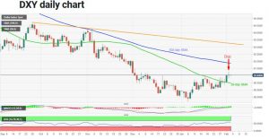 چارت دلار 300x155 - تحلیل تکنیکال شاخص دلار (DXY)؛ چهارشنبه ۱۵ بهمن