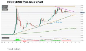 چارت دوج‌کوین 2 300x179 - تحلیل تکنیکال دوج کوین (DOGE)؛ جمعه ۲۴ بهمن