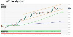 چارت نفت 6 300x155 - تحلیل تکنیکال نفت وست تگزاس اینترمدیت (WTI)؛ پنج‌شنبه ۱۶ بهمن