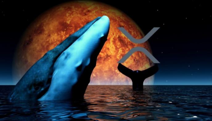 ریپل نهنگ گوگل - افزایش فعالیت‌ نهنگ‌های ریپل همزمان با رکورد بی‌سابقه جستجوی “XRP” در گوگل