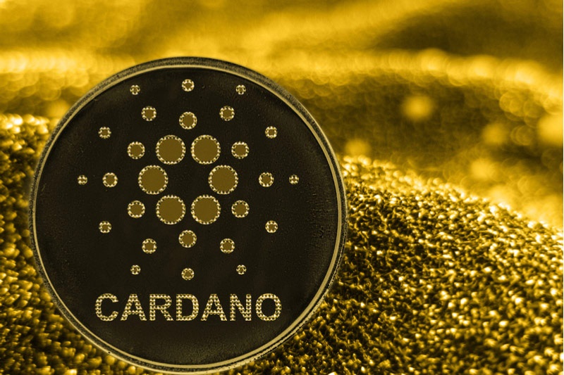 کاردانو 3 - سرچ واژه Cardano در گوگل به بالاترین میزان در تاریخ خود رسید