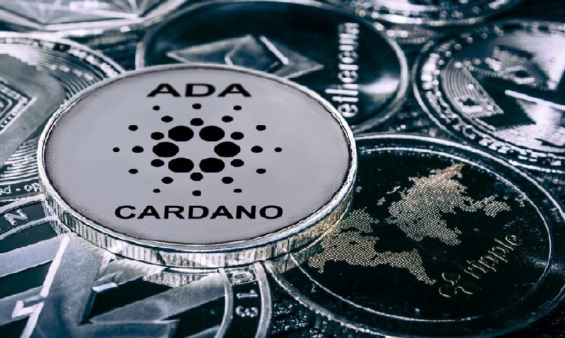 کاردانو 5 - آنتونی ساسانو: ارزش بازار 35 میلیارد دلاری کاردانو توجیه پذیر نیست