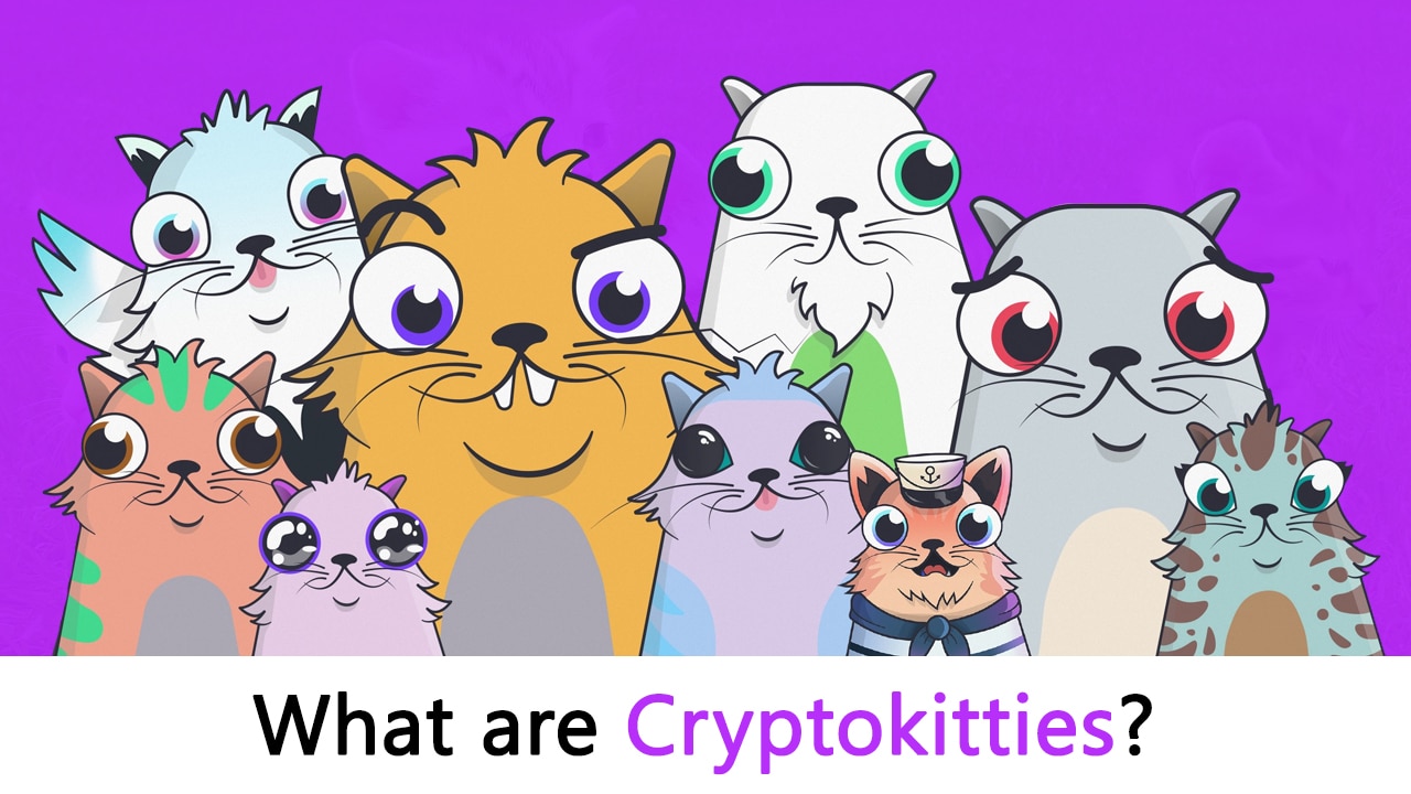 whatarecryptokitties - افزایش معاملات در بازی بلاک چینی CryptoKitties در پی رشد اخیر پروژه های NFT!