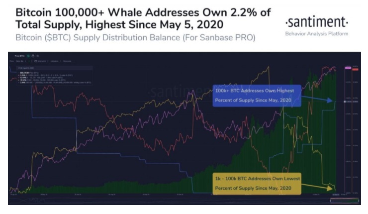 نهنگ بیتکوین - تعداد نهنگ های دارای بیش از 100 هزار بیت کوین به بالاترین رقم در 11 ماه گذشته رسید