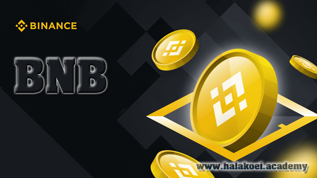 استیکینگ BNB