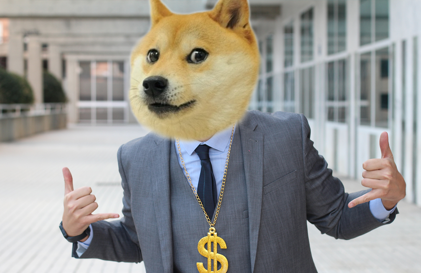 Doge 1 - ارتش دوج کوین عقب نشینی کرد