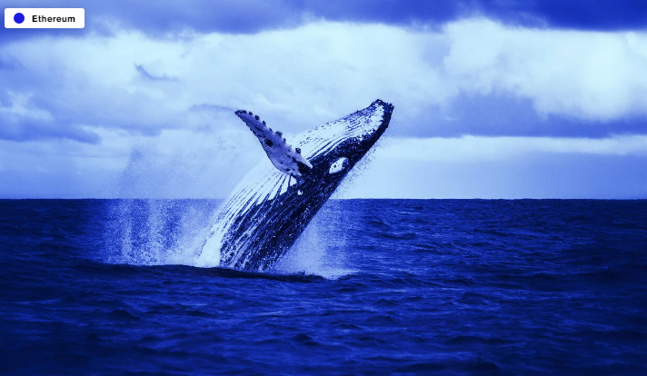 یک نهنگ ناشناس 1.3 میلیارد دلار اتر به پروتکل کامپاند انتقال داد Whale Moves - یک نهنگ ناشناس 1.3 میلیارد دلار اتر به پروتکل کامپاند انتقال داد