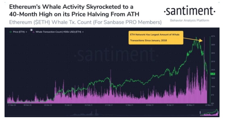 فعالیت نهنگ - تعداد معاملات بالای 100 هزار دلار نهنگ های اتریوم به رکورد ثبت شده در سال 2018 رسید