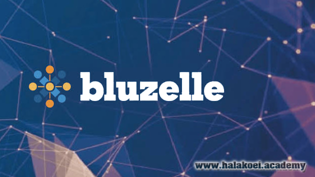 BLUZELLE