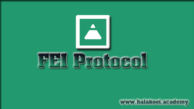 Fei Protocol