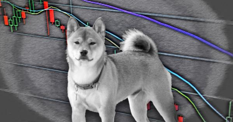 Dogecoin 3 - معامله گران دیروز 200 میلیون دلار در معاملات دوج کوین و شیبا ضرر کردند