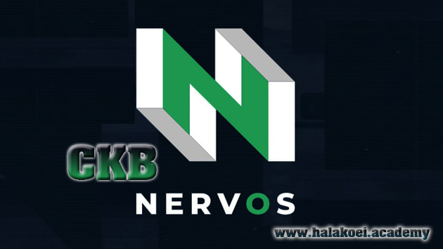 nervos network