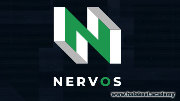 nervos network