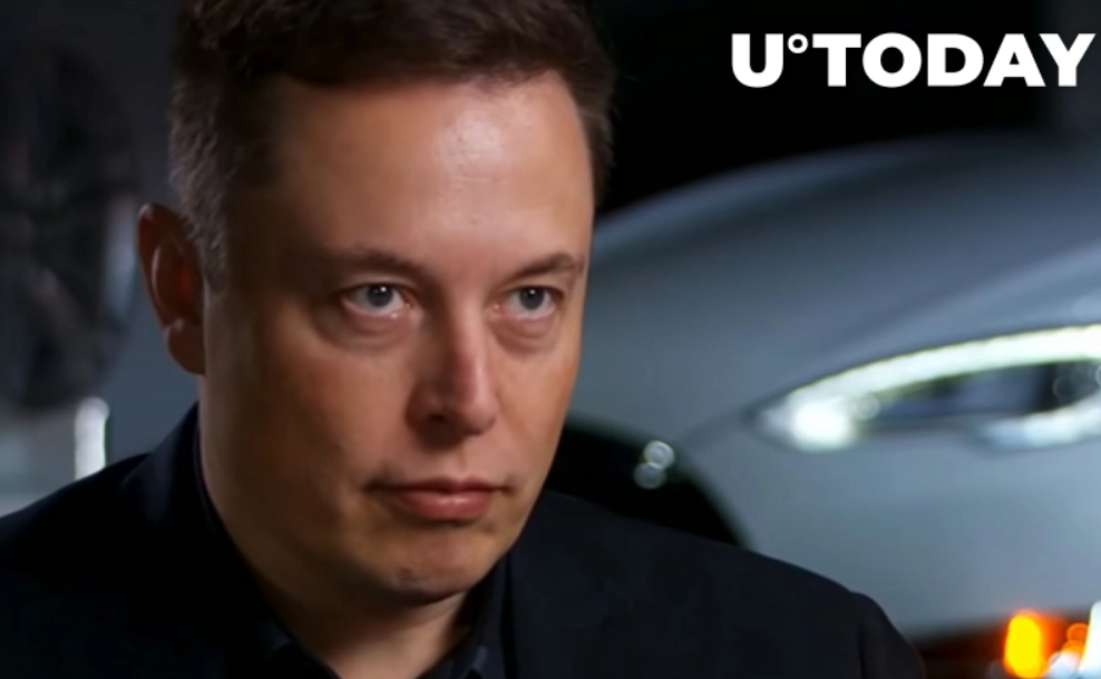 2021 06 22 02 49 20 Elon Musk - ایلان ماسک کاهش احتمالی کارمزد تراکنش های دوج کوین را تأیید می کند و آن را بهبود مهمی می داند