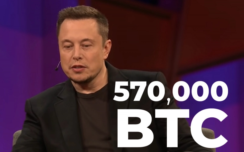 Before Elon Musk Tweeted - پیش از توییت ایلان ماسک ،سرمایه گذاران 570000 بیت کوین خریداری نمودند