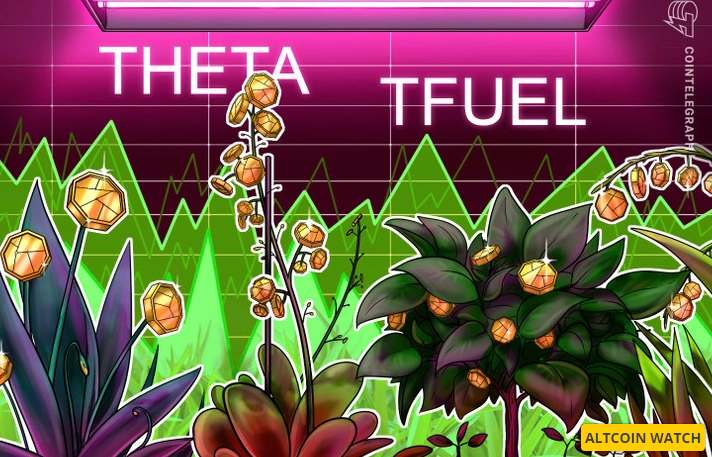 Theta and Theta Fuel - افزایش بیش از 50 درصدی قیمت تتا و تتا فیول در استانه راه اندازی شبکه اصلی تتا