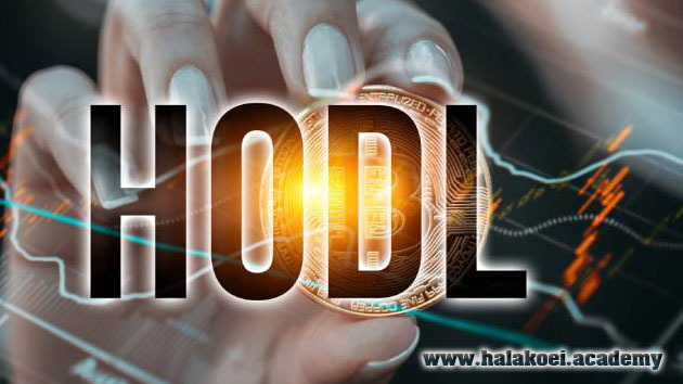 hodl or sell